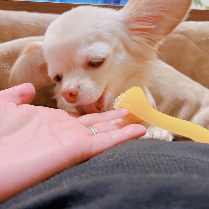 2c1b5f47 b4e4 4915 96f6 42b76d1249c4 1674804336350