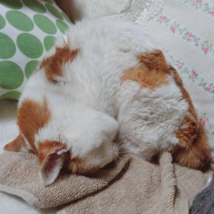 2c1b6934 a624 4d9a bb64 4f41dc21e6b8 1609664706208