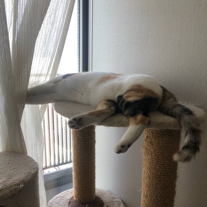 2c1b9461 912c 4854 b6f5 151582a764da 1602027347813