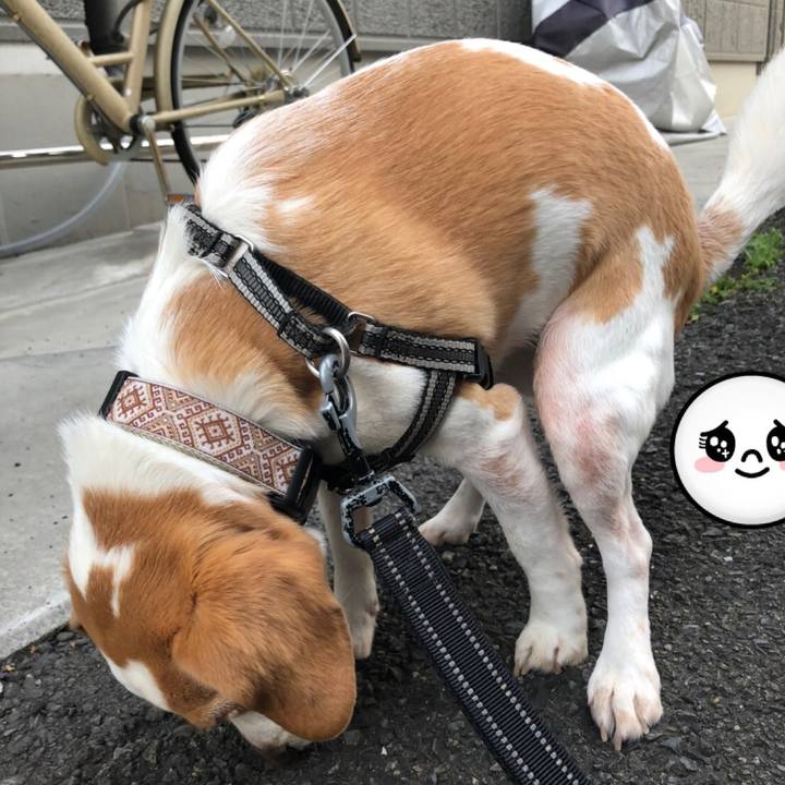 2c1bedba 0375 4f00 afad 54cc0967226c 1653050533934