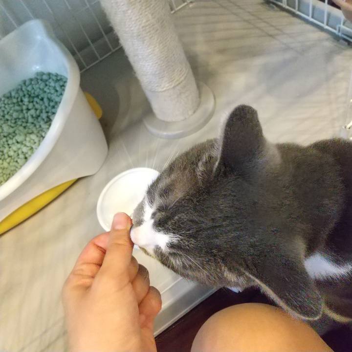 2c1bfa0c c59f 4e34 97c3 1951bd1c69c2 1599435393891