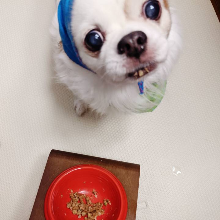 2c1c0054 a3b6 4feb a633 a9baca602614 1612997716129