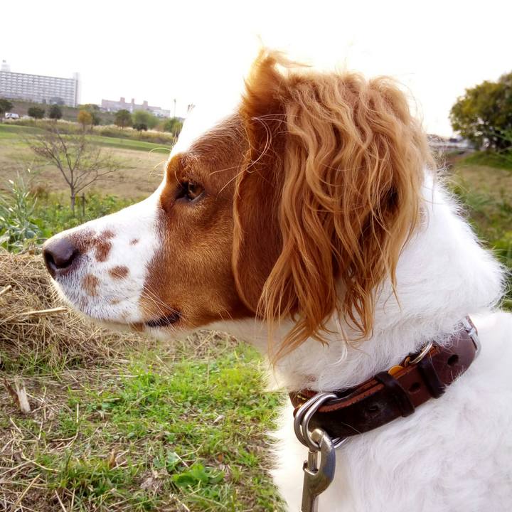 2c1c3e9f a657 4ff0 b057 2330239c2935 1510918826276