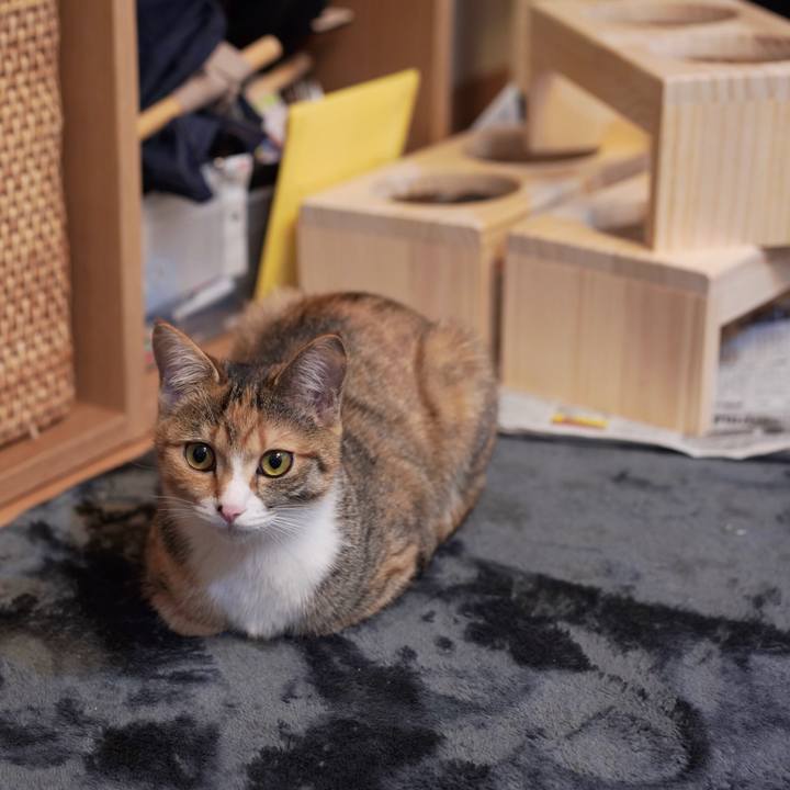 2c1c3fbe 9643 4b9f b76e 29bc78ef47a0 1580895357257