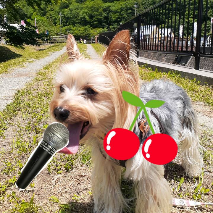 2c1c91ab 636d 4899 a4c6 9e7915062de5 1625607399489