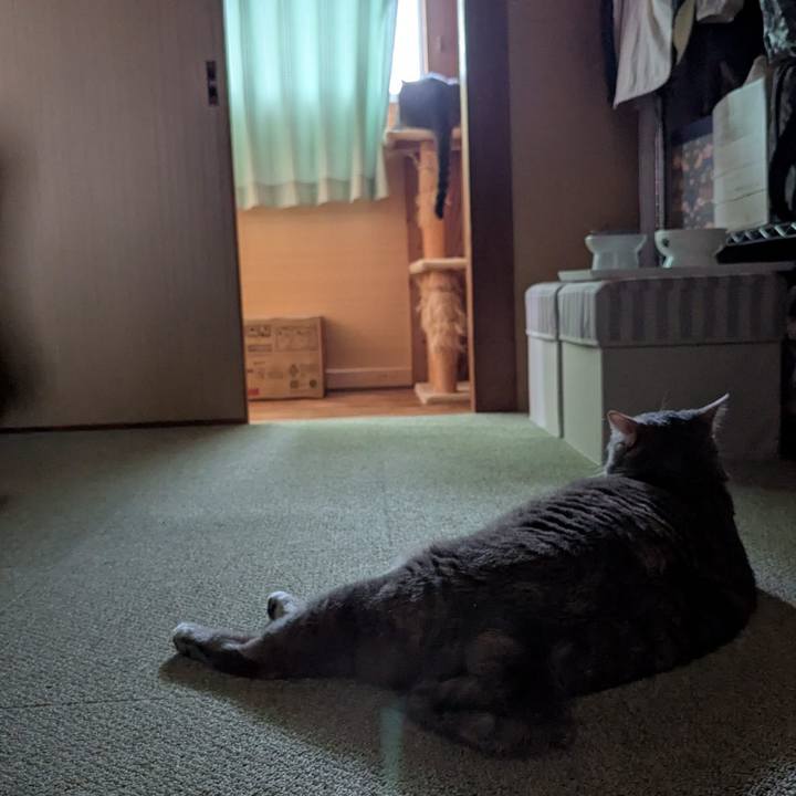 2c1cbe42 d238 4c63 ae97 7f26a6cd0951 1750144059588