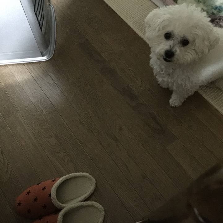 2c1d0064 e58a 460c 8fdc d4f6430d7efd 1547639728132