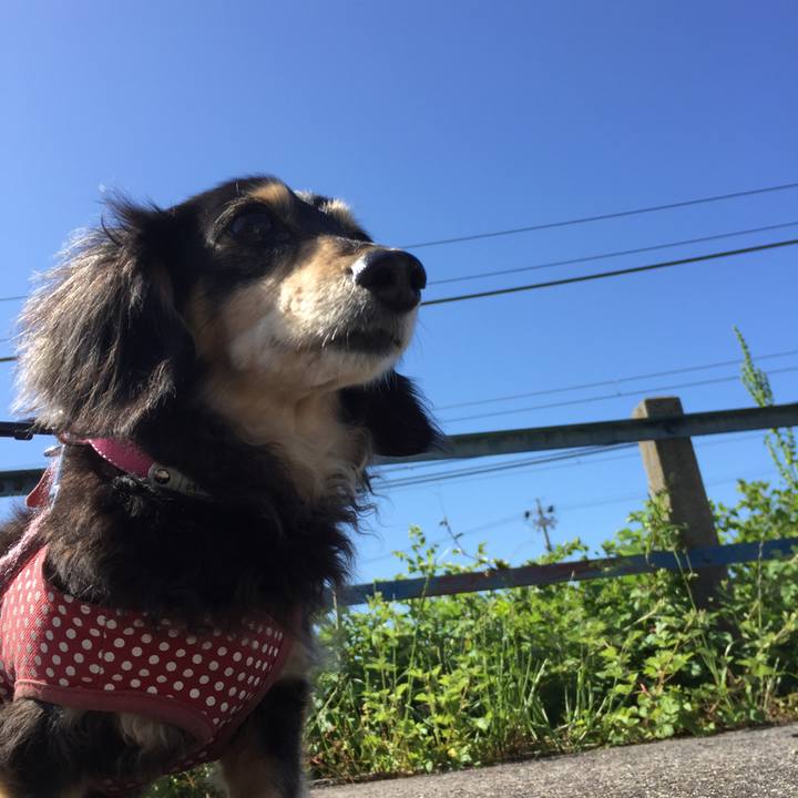 2c1d8a37 537d 4bfc b738 dfe44c55b10f 1588810086577