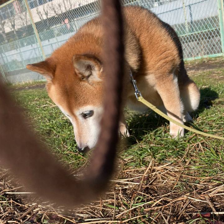 2c1db3c7 4f39 4ce2 b6ce 5e98f1e3cd42 1709944080100