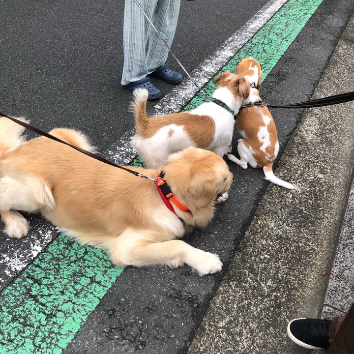 2c1db677 ac44 41ea 8869 60a225cac9fd 1600692074744