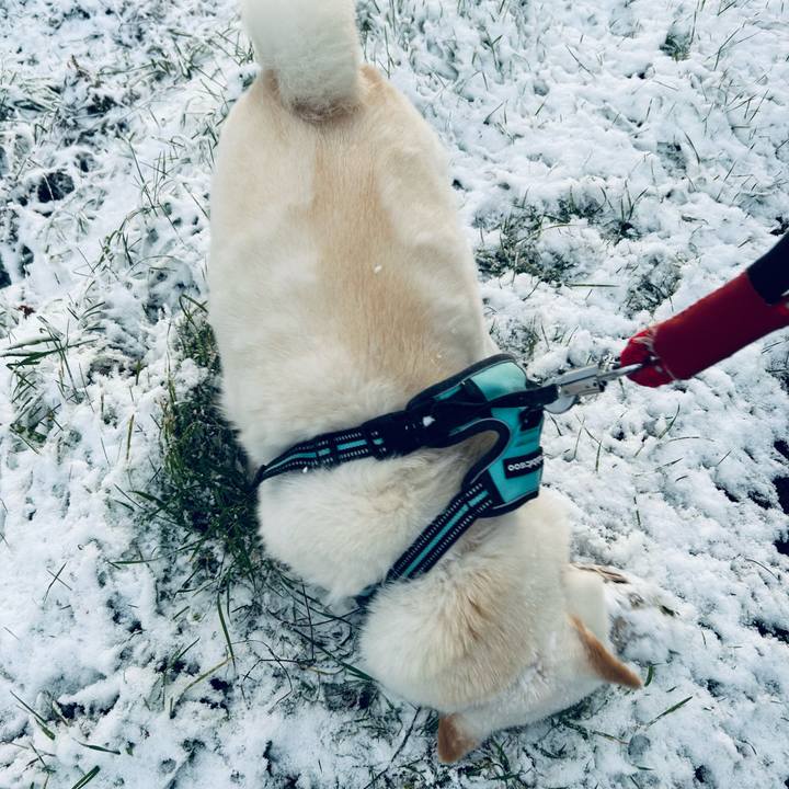 2c1dc8d7 3410 43a3 8f90 4774b54eb929 1699654300165