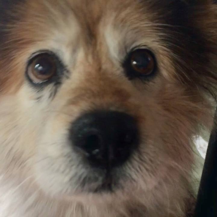 2c1dd418 9352 40bf ac7e 5bac62032ea1 1560698611109