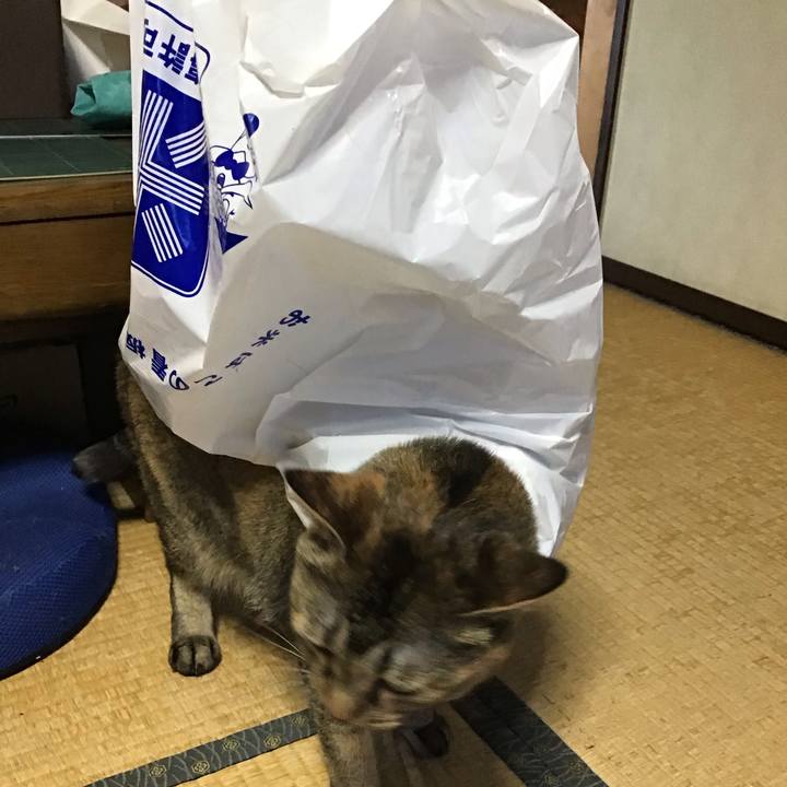 2c1de008 ff9e 4421 a96f 0e94851d72d8 1752481453084