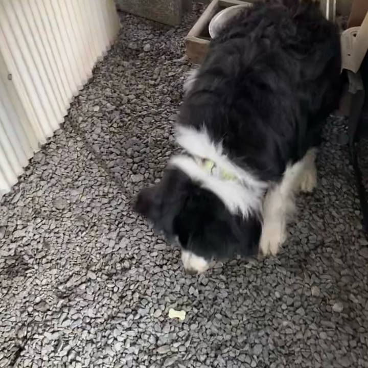 2c1e2210 25f1 40d4 b66b 446f84079aa4 1631282430503