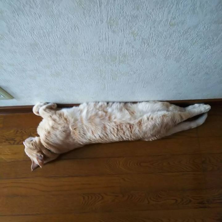 2c1e2d19 97bf 4dfc 9bad 33f8a144e5fc 1628312569344