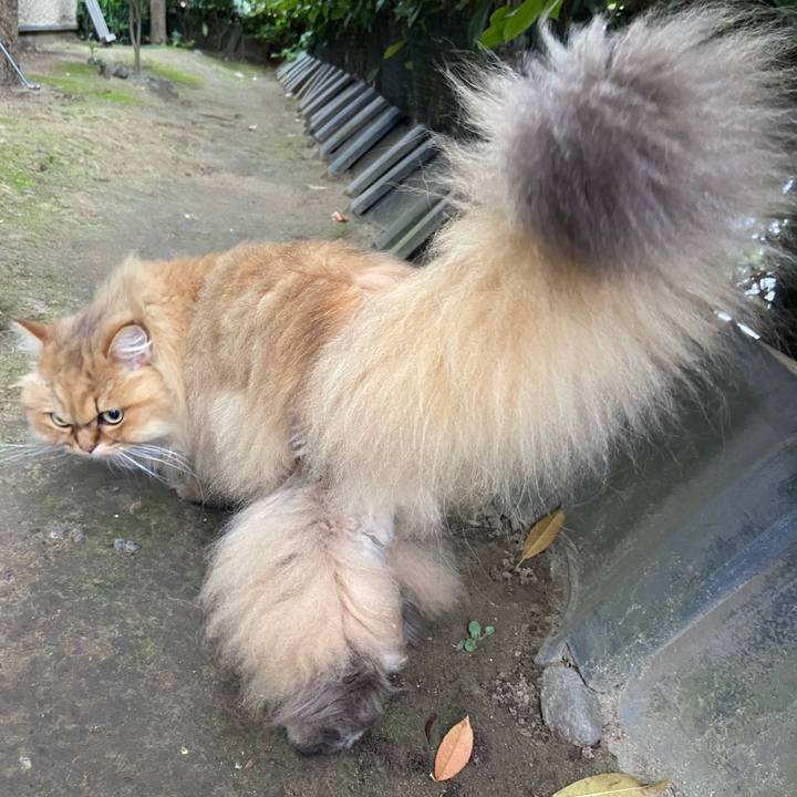 2c1e35e5 d1b8 49c7 a5ef debf626734ba 1621491972220