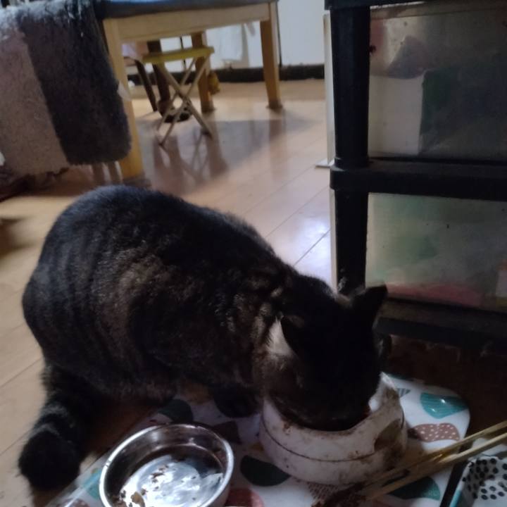 2c1e3ce8 dd57 4417 8cf0 360fd6d81353 1667861490434