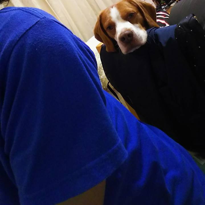 2c1e3f7f 9e64 4670 9f10 ca9f34089309 1523016723190