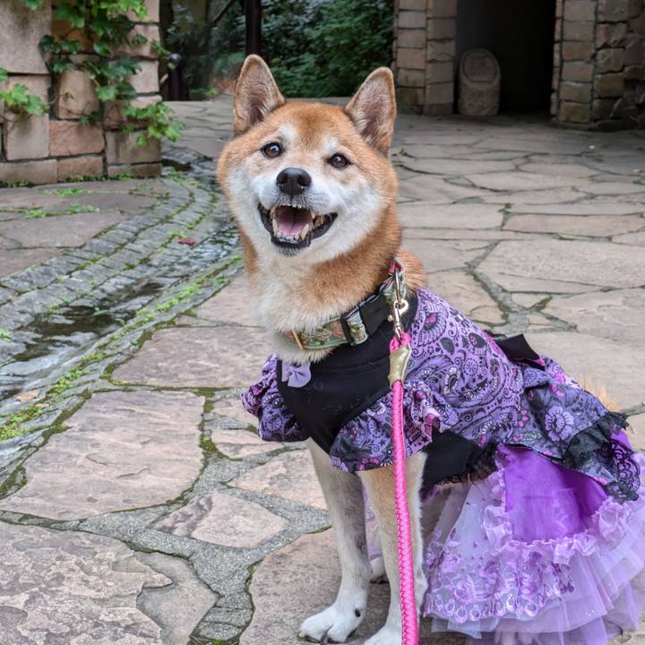 2c1e53d1 3314 415a a28d 2202f8a2843d 1727704972023