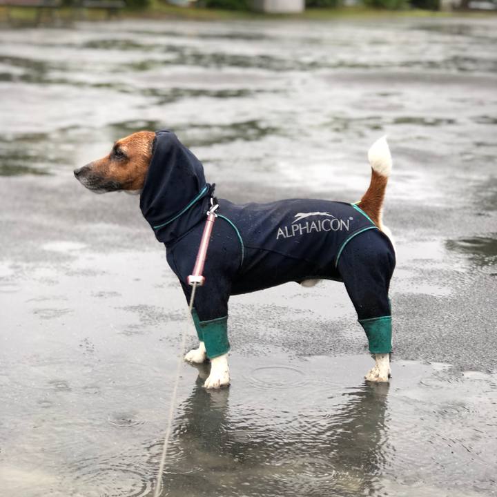 2c1e54cd 93ac 405b 9882 4cc4e9ebc62f 1528670929651