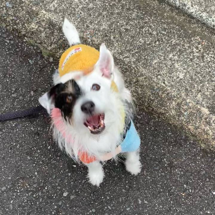 2c1e7bba 8253 4341 b96c dbc04fa452f6 1674522173433