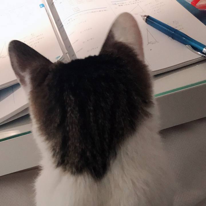 2c1ee1b6 4b37 4cdd b66a f5238b7bc12e 1551272736535