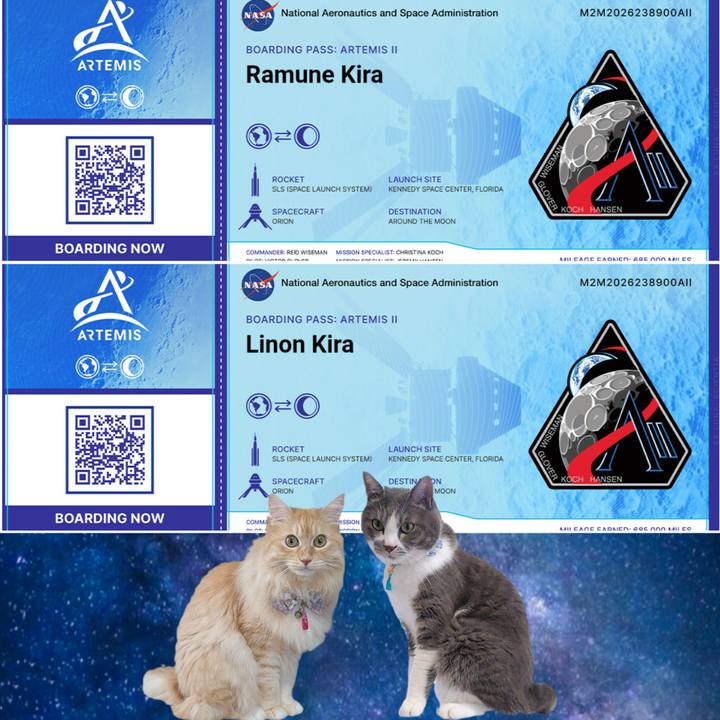 2c1ef349 ae5d 4d3a 8819 c8582ea3d14c 1757495350969