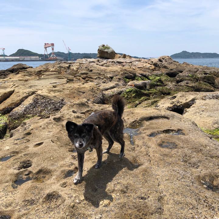 2c1f1ef1 925e 41c5 b585 ca59f3365b53 1683154294334