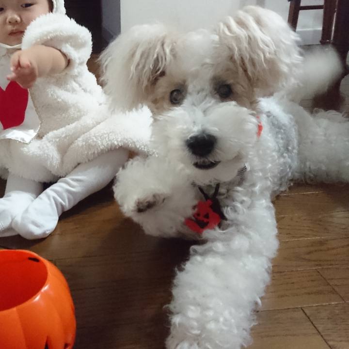 2c1f3bd6 a667 42b8 ae68 95787f0b7425 1635667991714