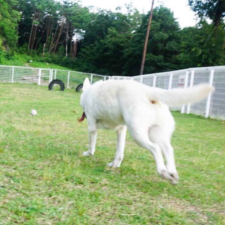 2c1f51d9 e647 44c7 9686 581b8ce2f8e6 1564837955100