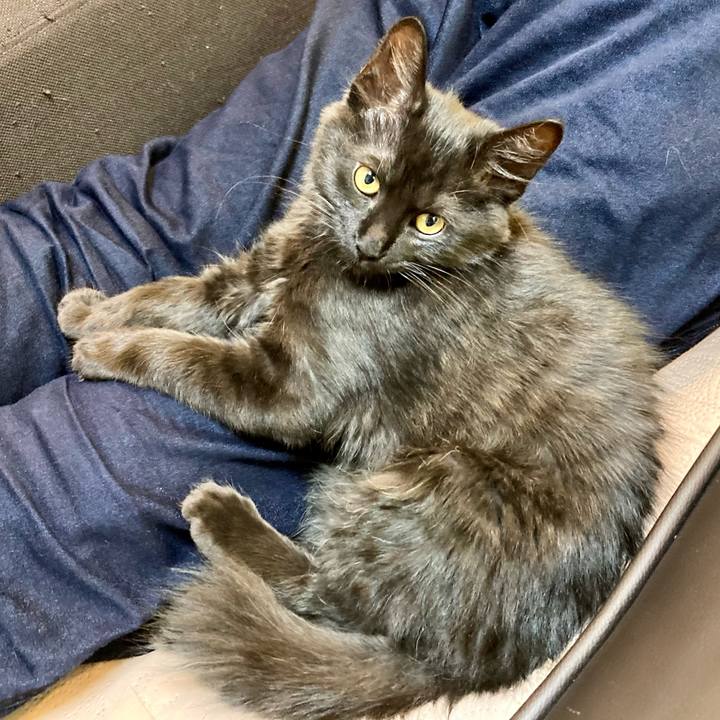 2c1f5648 a67b 4c3b abaa e9cd2a46ebd5 1702822453911