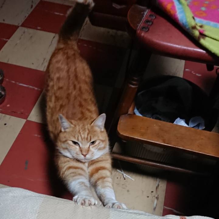 2c1f5f27 6d0c 4d95 82ec 3d9efaff3747 1579290412854