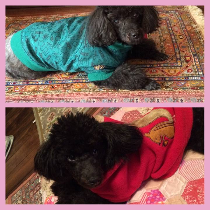 2c1f8a38 f794 4464 bd84 cfb588c00066 1513611949689