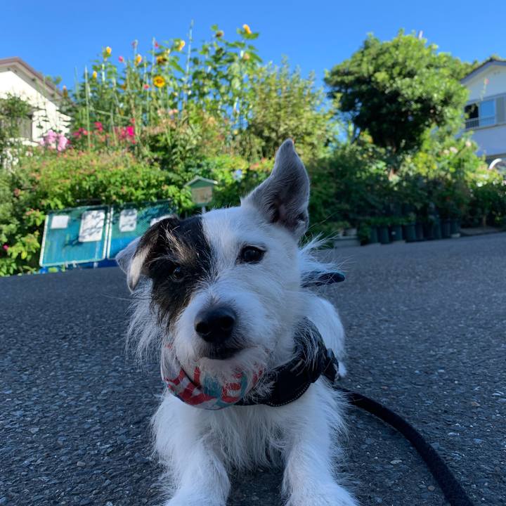 2c1fa072 07cf 441c 975c 484f91197eed 1752967470146