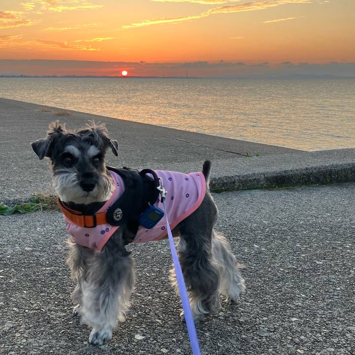 2c1fa096 4725 47b2 8ee7 417457ac70f9 1729953423270