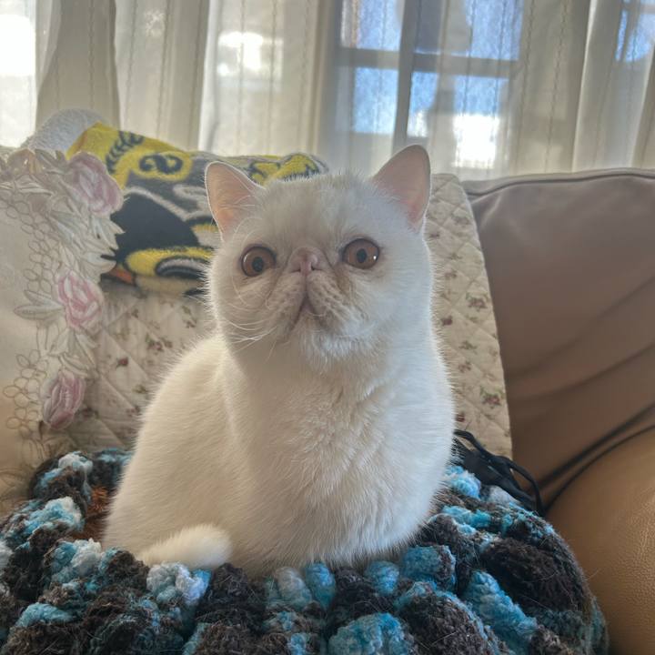 2c1fa5a4 f93c 4a21 a90d 7db69e50aab0 1732878130799