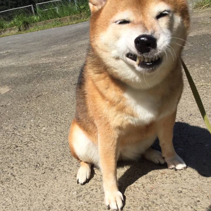 2c1fb4f6 e9cf 46bc 81a3 12b098e630ac 1601632780860