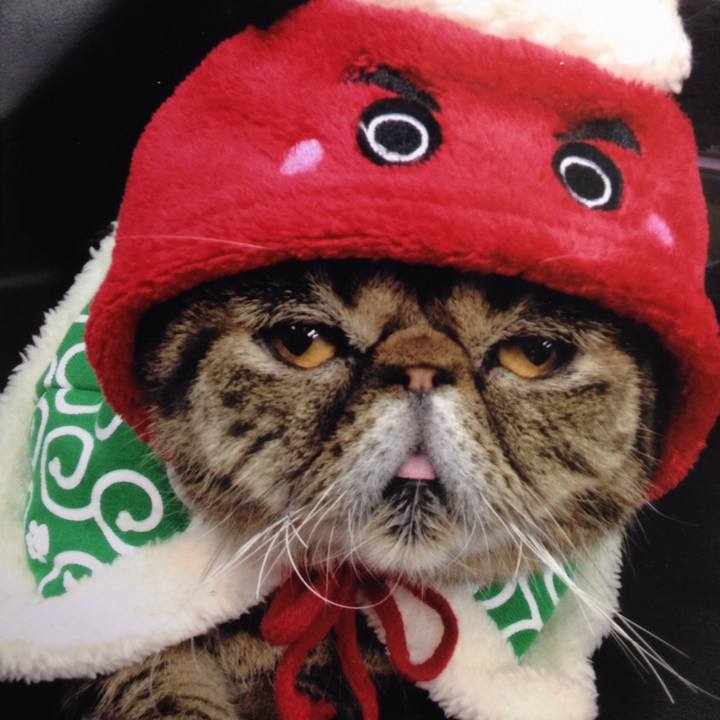 2c1fc304 3323 45b1 b07c b12e189838ec 1515117662387