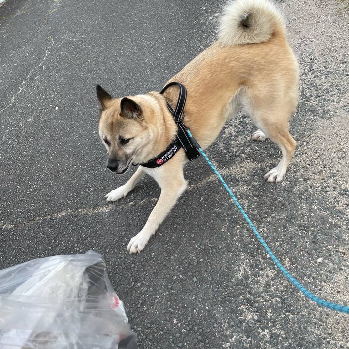 2c1ffb24 e549 46e5 8dca ebb9c8744dec 1718627362731