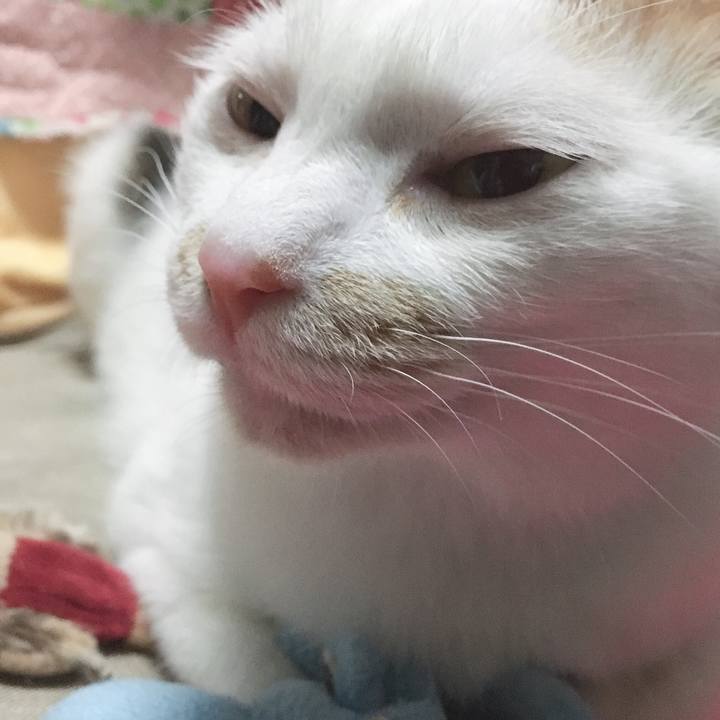 2c1ffe3d 6b6a 4e73 b126 10e99c4964da 1568545450933