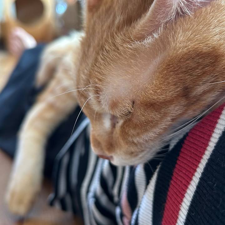 2c2024f1 a423 4ea2 a255 2f6fd0b8a122 1670649095554