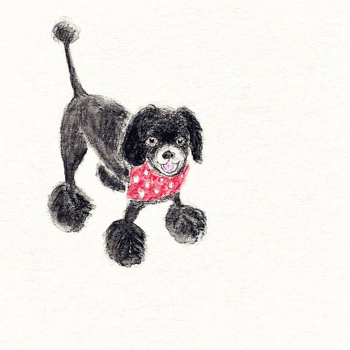 2c205920 944f 493b 98aa bc72995ea724 1658892453649