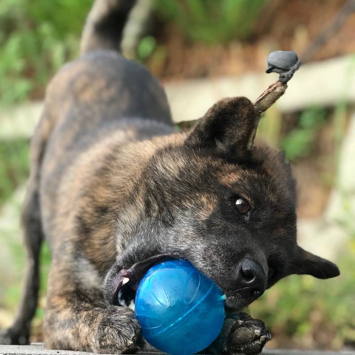 2c209ba1 7a01 4798 a224 f58c77aeedf4 1534420674422