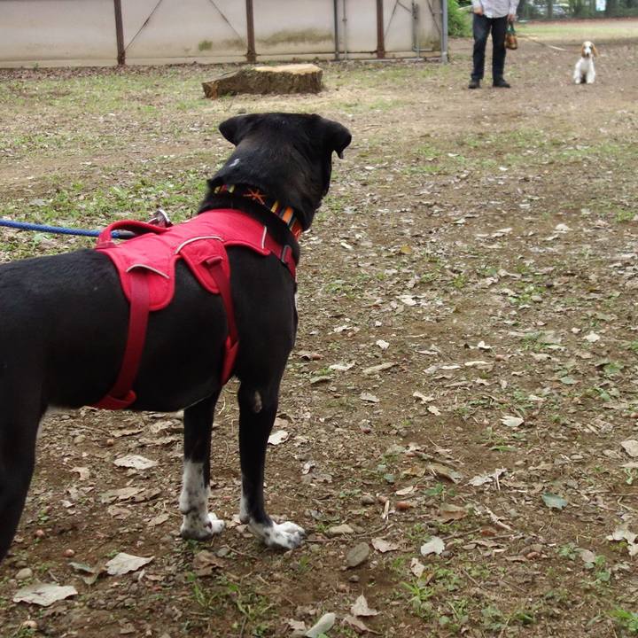 2c20c7c2 b440 4ee3 904a 5c64d2331be9 1601857695595