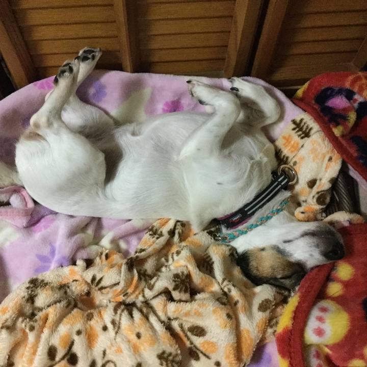 2c20fb13 2177 463b 90f3 4ce993b814c8 1508936463773