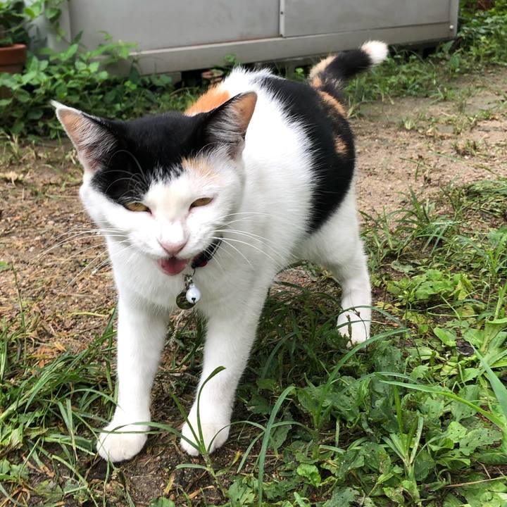 2c210291 8d71 4c81 bf81 d9a283fc1171 1629258511168