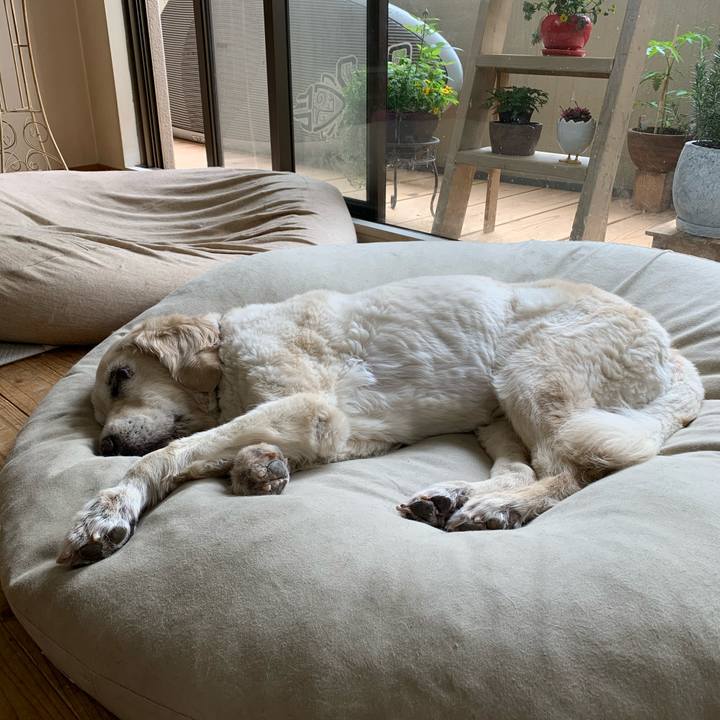 2c210453 5826 4728 b72e d20fac56e1e4 1590041496035