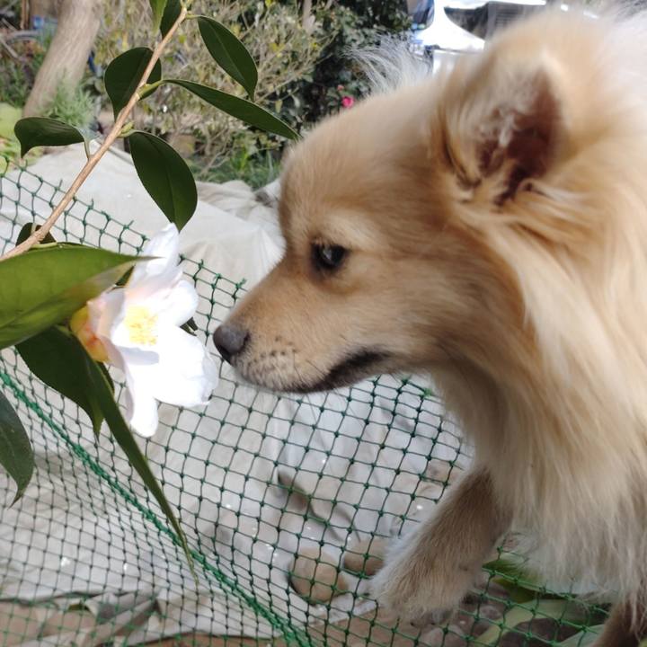 2c2179b9 10cc 4c9c a316 d3ac4b4e08f5 1742453898157