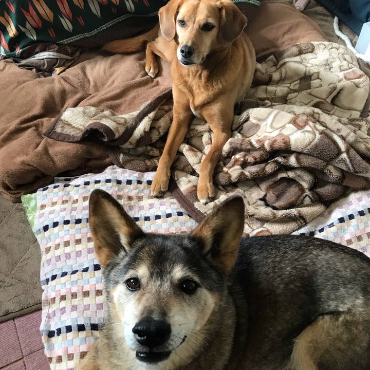 2c218e3f 0162 4dfa afbc 90d8582b91d9 1557878956471