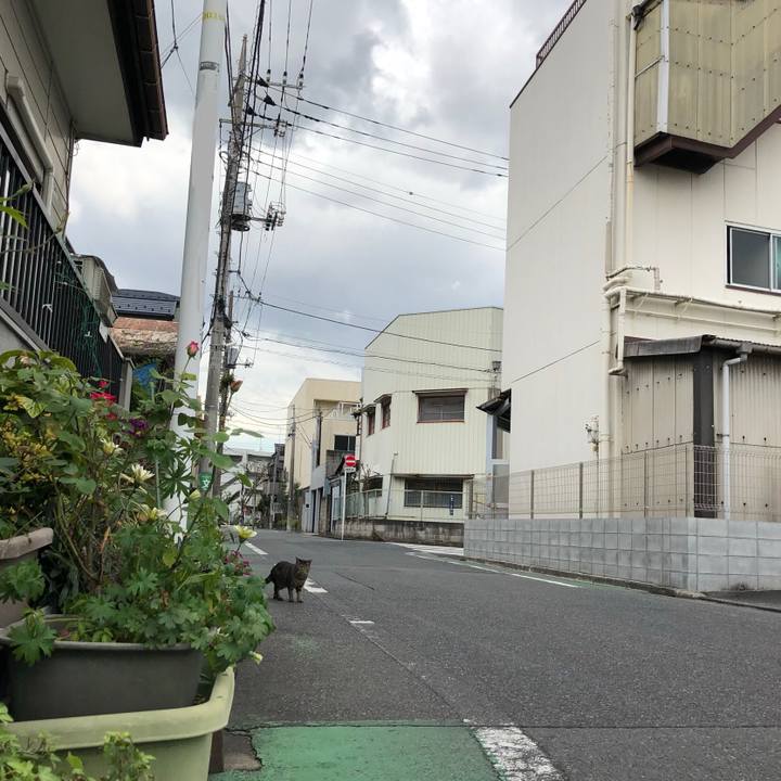 2c219495 4cb6 4b4d ad83 2e1d52508bfd 1604630439685